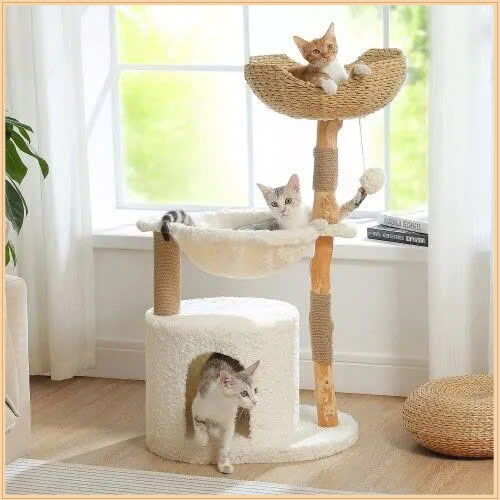 Đồ chơi thú cưng